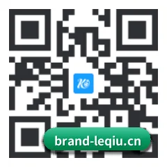 系统版 iOS 二维码